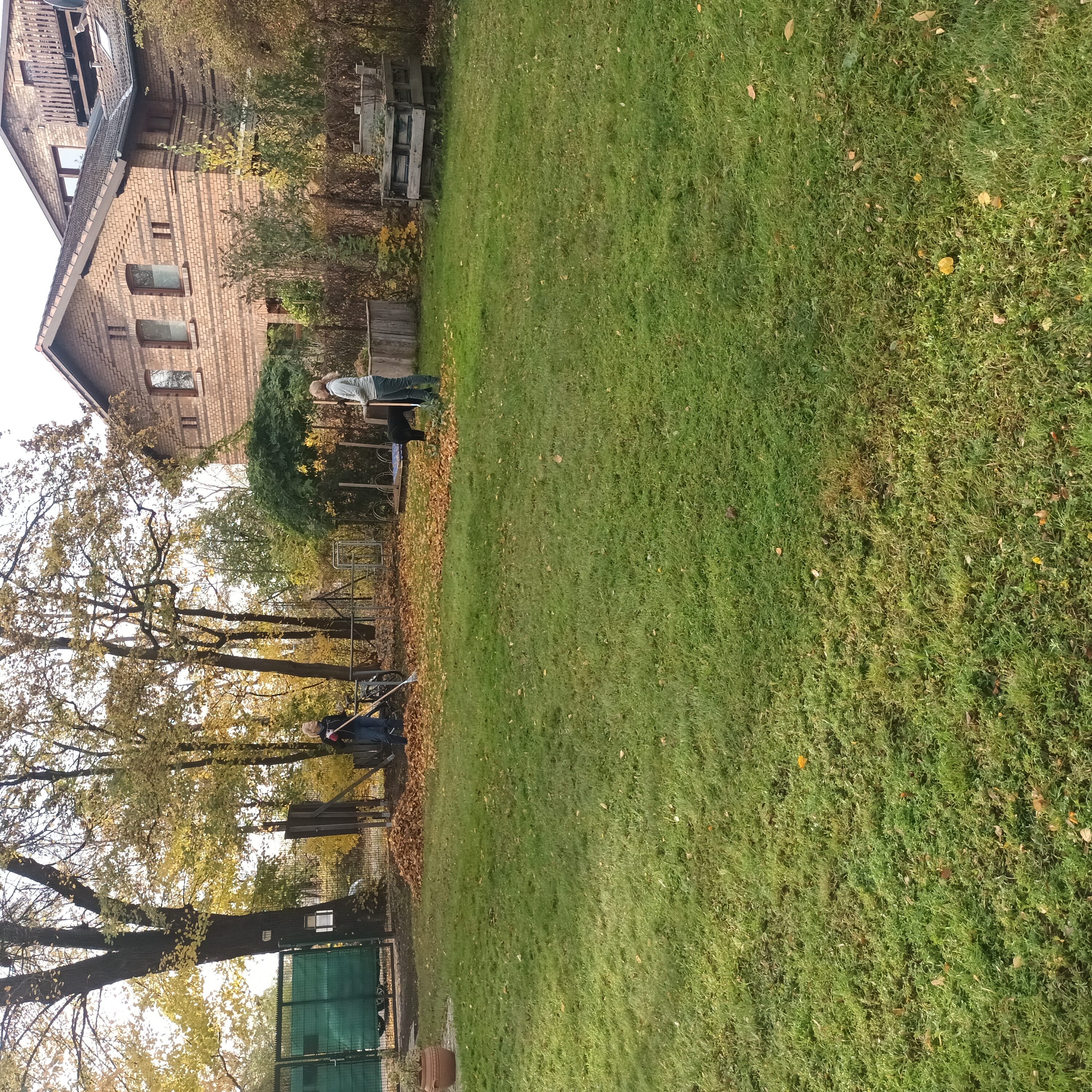 Laubharken - Plötzensee - 1. November 2025